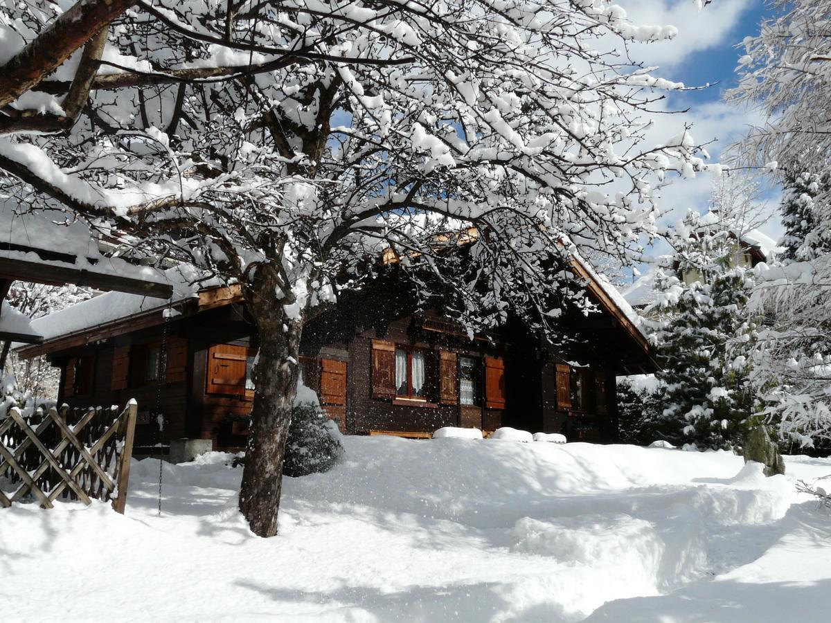 Chalet Des Glaciers Chamonix Ngoại thất bức ảnh